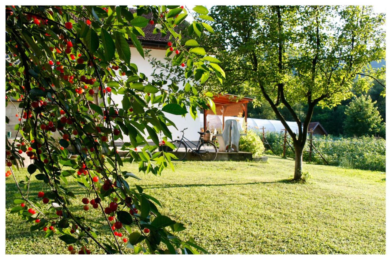 Holiday Residence Buric วิโซโค ภายนอก รูปภาพ